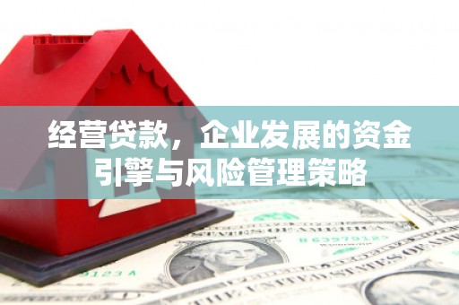 廉江经营贷款，企业发展的资金引擎与风险管理策略