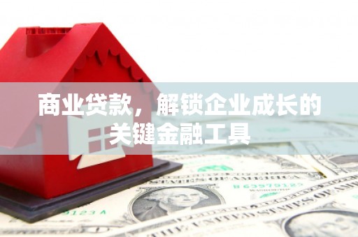 廉江商业贷款，解锁企业成长的关键金融工具