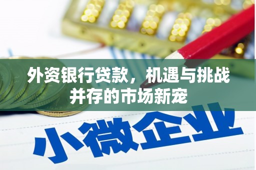廉江外资银行贷款，机遇与挑战并存的市场新宠