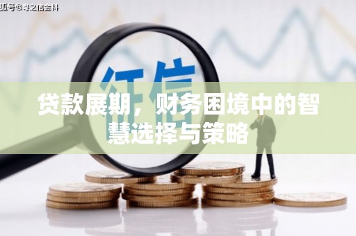 廉江贷款展期，财务困境中的智慧选择与策略