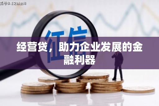 廉江经营贷，助力企业发展的金融利器