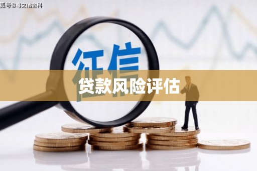 廉江贷款风险评估