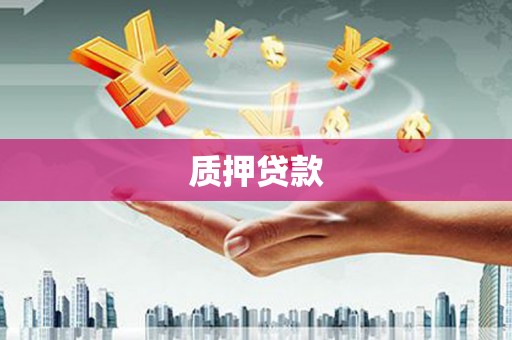 廉江质押贷款