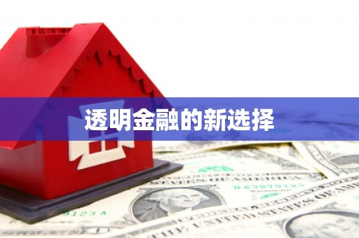 廉江透明金融的新选择