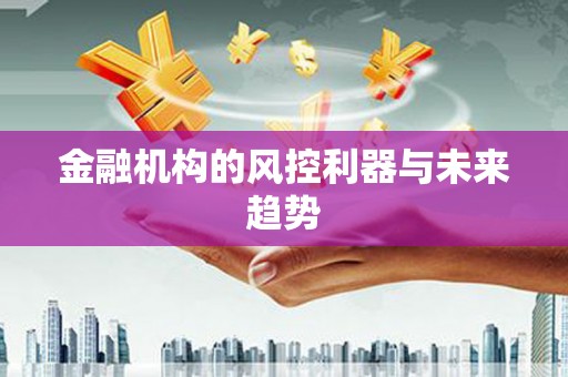 廉江金融机构的风控利器与未来趋势
