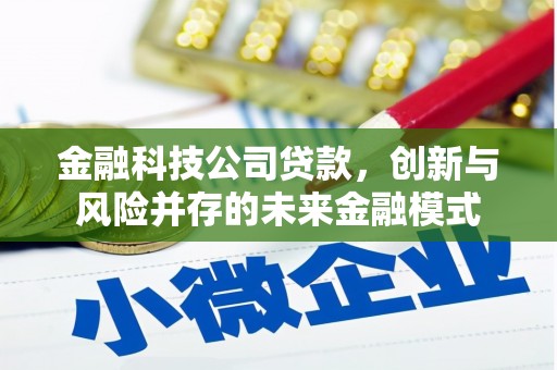 廉江金融科技公司贷款，创新与风险并存的未来金融模式