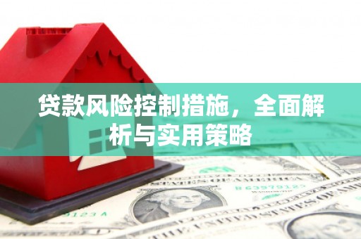 廉江贷款风险控制措施，全面解析与实用策略
