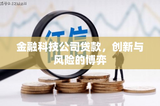廉江金融科技公司贷款，创新与风险的博弈