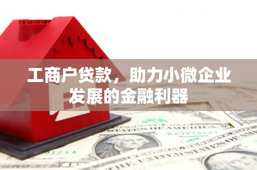 廉江工商户贷款，助力小微企业发展的金融利器