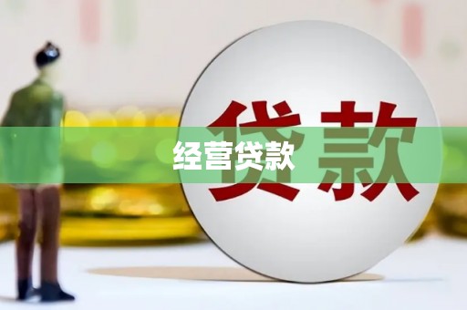 廉江经营贷款