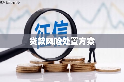 廉江贷款风险处置方案