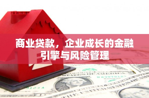 廉江商业贷款，企业成长的金融引擎与风险管理