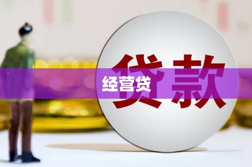 廉江经营贷