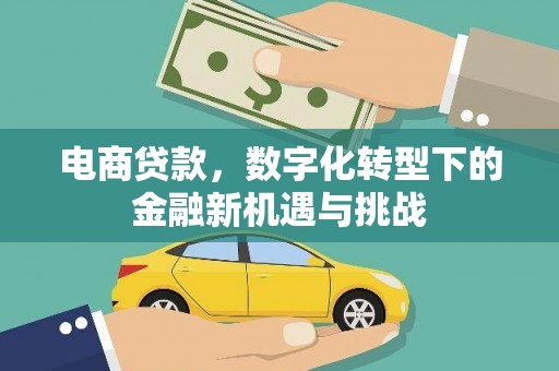 廉江电商贷款，数字化转型下的金融新机遇与挑战