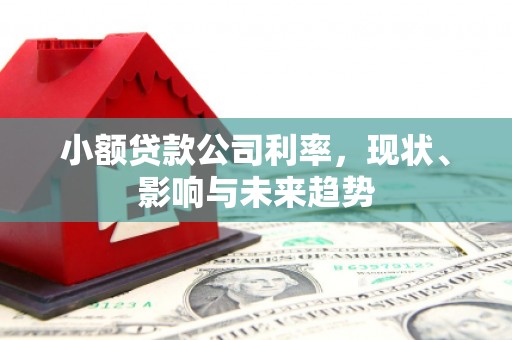 廉江小额贷款公司利率，现状、影响与未来趋势