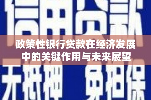 廉江政策性银行贷款在经济发展中的关键作用与未来展望