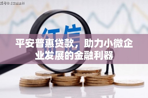廉江平安普惠贷款，助力小微企业发展的金融利器