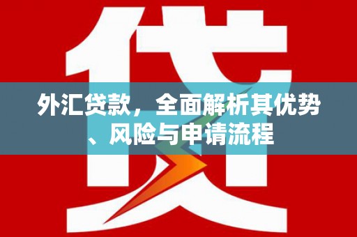 廉江外汇贷款，全面解析其优势、风险与申请流程