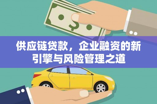 廉江供应链贷款，企业融资的新引擎与风险管理之道