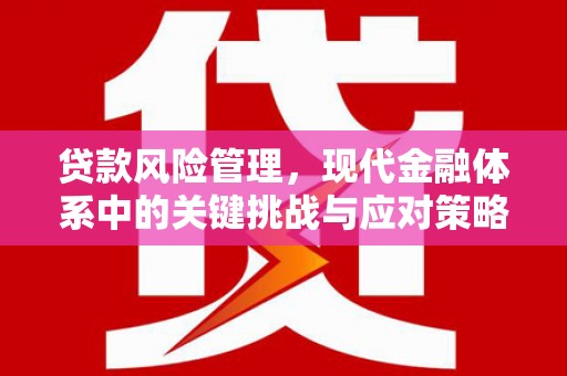廉江贷款风险管理，现代金融体系中的关键挑战与应对策略