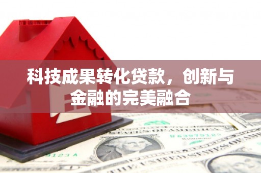 廉江科技成果转化贷款，创新与金融的完美融合