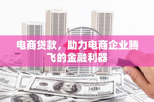廉江电商贷款，助力电商企业腾飞的金融利器