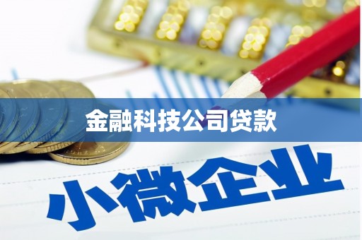 廉江金融科技公司贷款