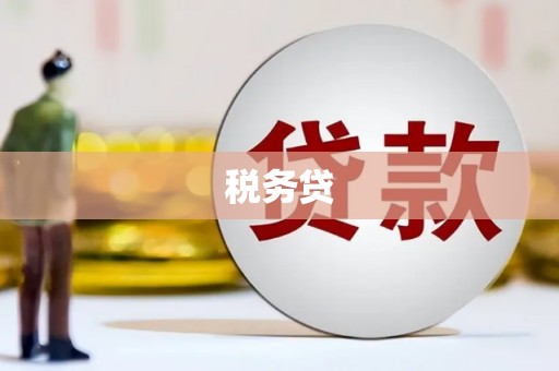 廉江税务贷
