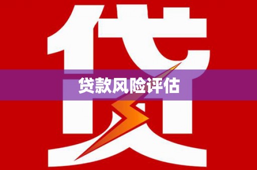 廉江贷款风险评估