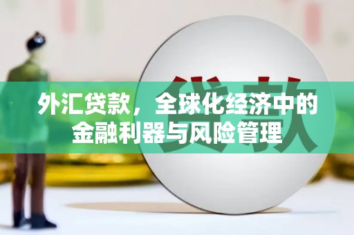 廉江外汇贷款，全球化经济中的金融利器与风险管理