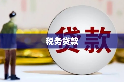 廉江税务贷款