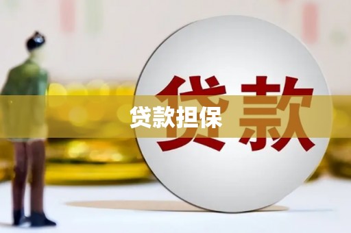 廉江贷款担保