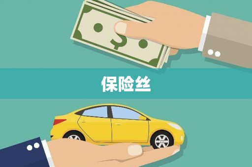 廉江保险丝