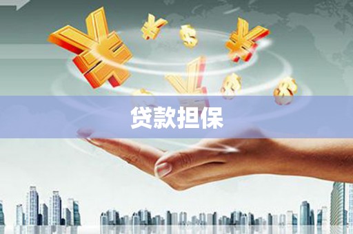 廉江贷款担保