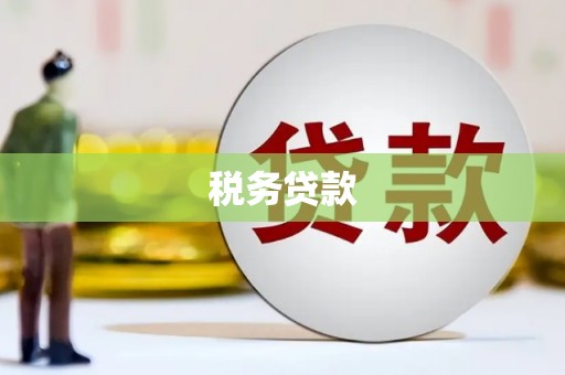 廉江税务贷款