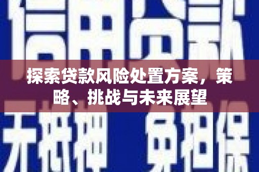 廉江探索贷款风险处置方案，策略、挑战与未来展望