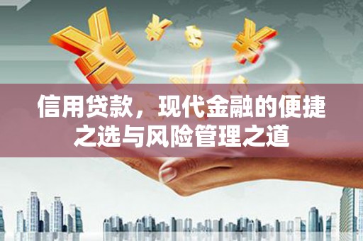 廉江信用贷款，现代金融的便捷之选与风险管理之道