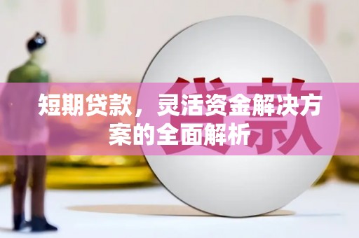 廉江短期贷款，灵活资金解决方案的全面解析