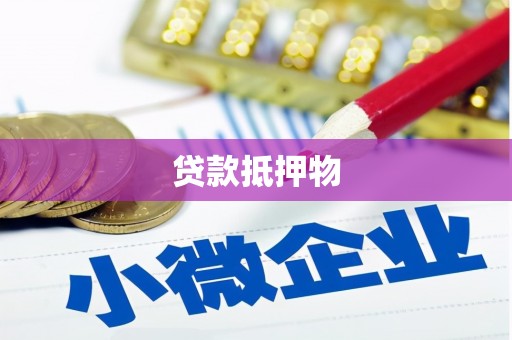 廉江贷款抵押物