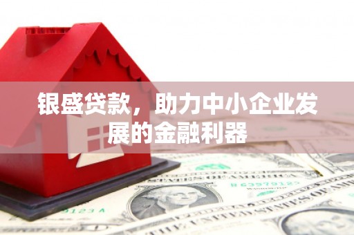 廉江银盛贷款，助力中小企业发展的金融利器
