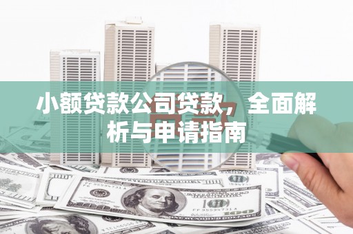 廉江小额贷款公司贷款，全面解析与申请指南