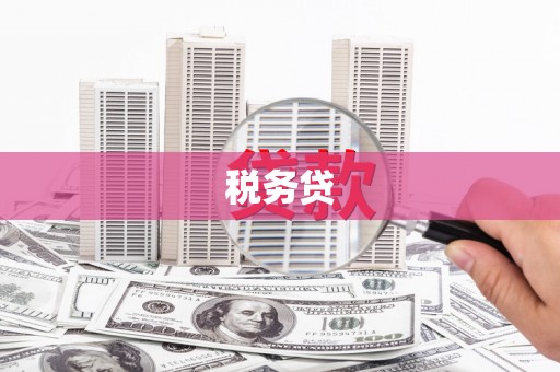 廉江税务贷
