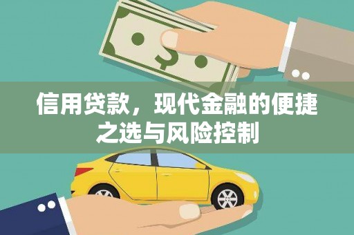廉江信用贷款，现代金融的便捷之选与风险控制