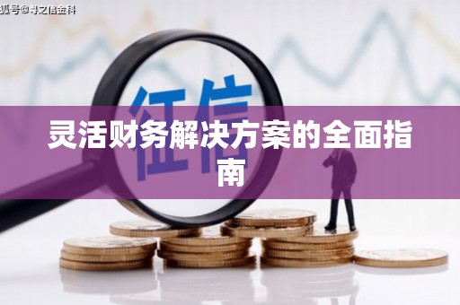 廉江灵活财务解决方案的全面指南