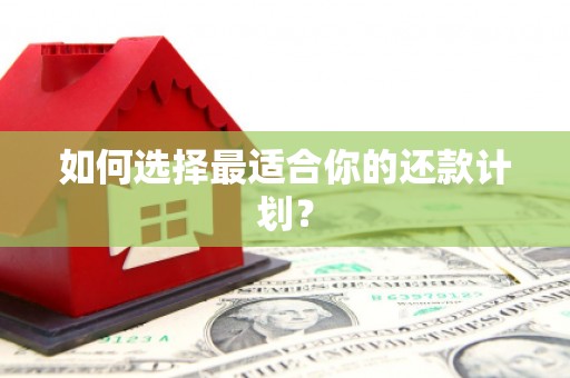 廉江如何选择最适合你的还款计划？