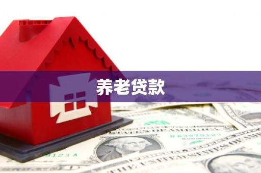 廉江养老贷款
