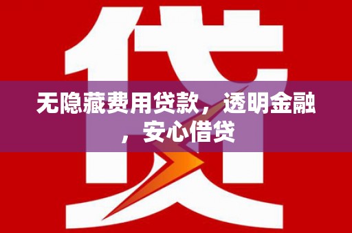 廉江无隐藏费用贷款，透明金融，安心借贷