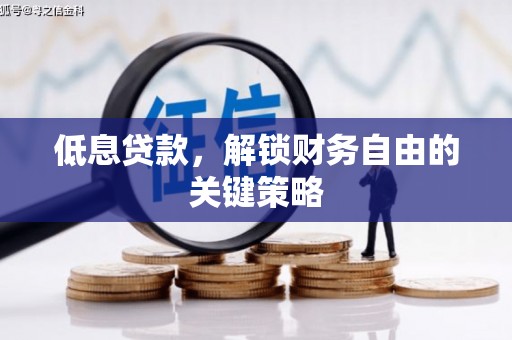 廉江低息贷款，解锁财务自由的关键策略