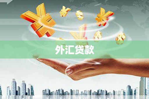 廉江外汇贷款