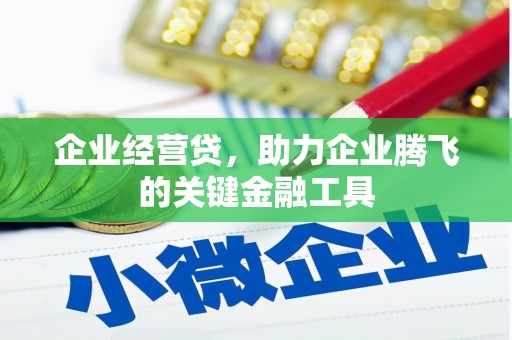 廉江企业经营贷，助力企业腾飞的关键金融工具
